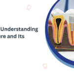 Root Canal: Understanding the Procedure and Its Treatment